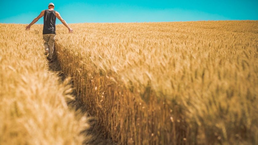 Découvrez le spécialiste du matériel agricole