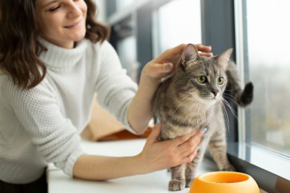 Comment choisir l'assurance idéale pour votre chat ?