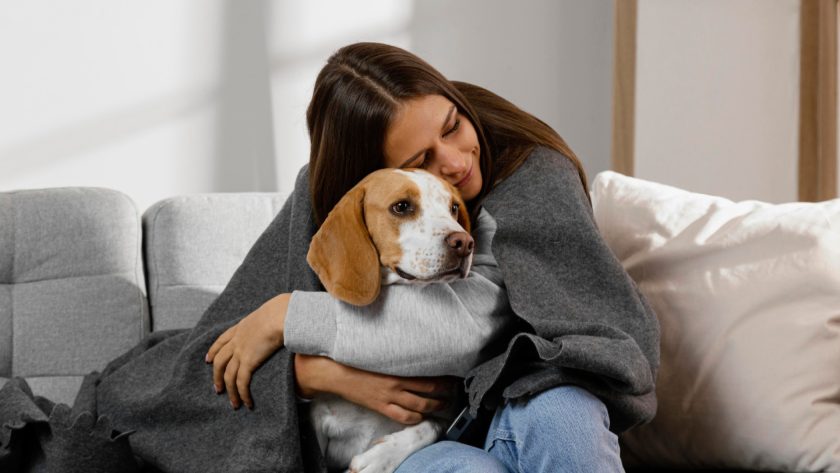 Pourquoi opter pour une assurance animale sans délai de carence ?