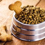 Comment bien choisir les croquettes pour son chien ?