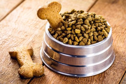 Comment bien choisir les croquettes pour son chien ?